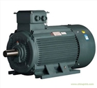 YE2系列高效率三相異步電動機降壓起動方式