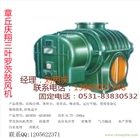 章丘鳳翔三葉鼓風(fēng)機密集型直聯(lián)式