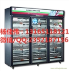 悅康消毒柜|雙開(kāi)門(mén)臭氧消毒柜|殺菌消毒柜