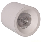 高品質(zhì)LED明裝筒燈8寸80W廠家直銷